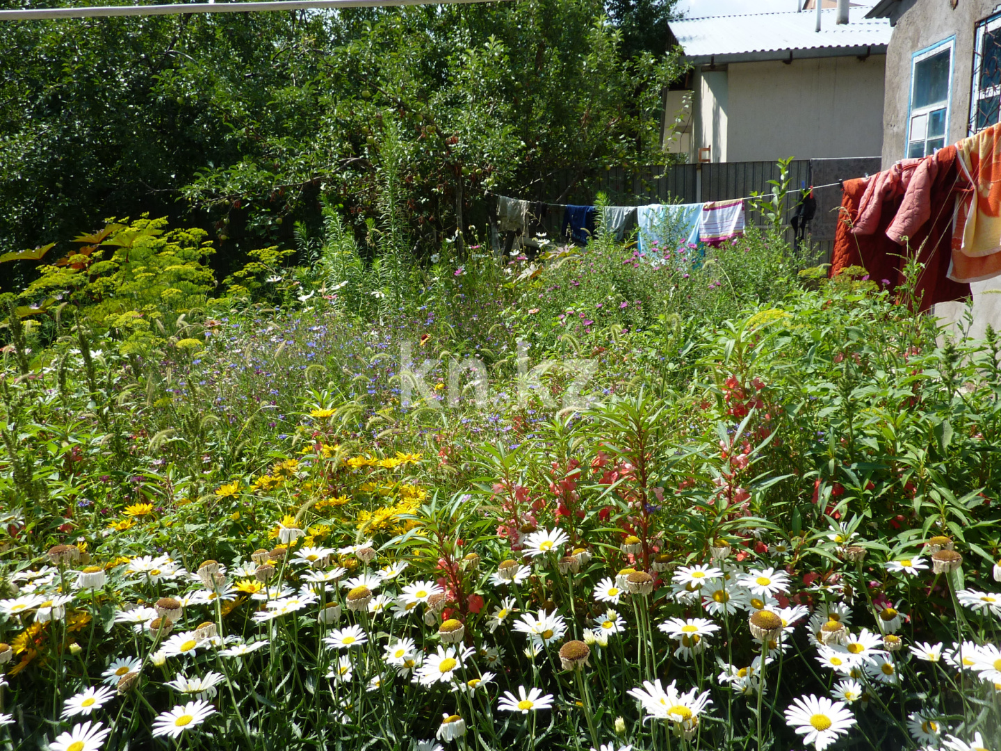 Продажа дачи, 8 сот. - Недвижимость в Шымкенте - страница 2 фото 8 из 13