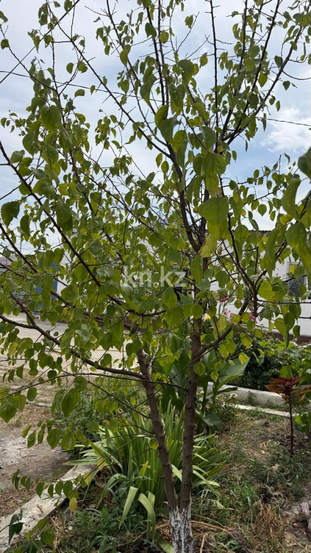 Продажа 4-комнатного дома, 150 м² - Продажа домов, коттеджей в Атырау фото 6 из 9