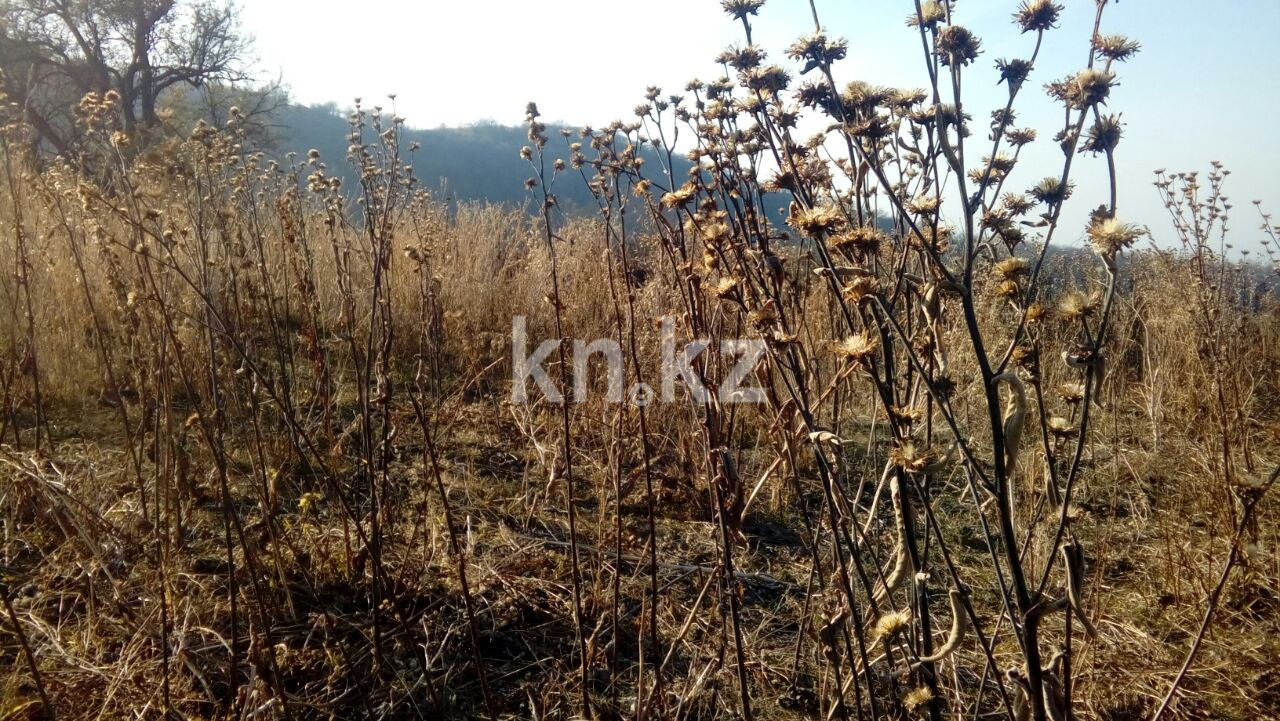 Продажа земельного участка, 1.5 га, МТФ №3 р-н - Продажа земельных участков в Алматинской области фото 3 из 6