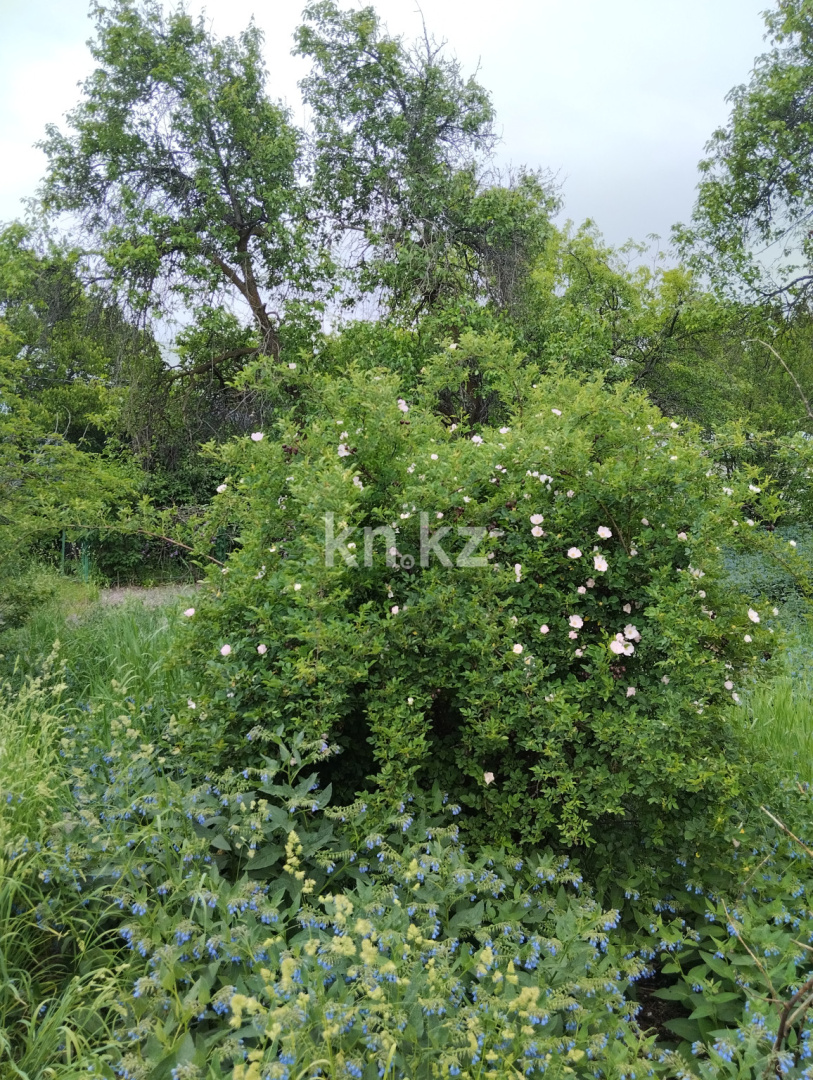 Продажа дачи, 11 сот., Юбилейный с. о. - Продажа квартир в Алматинской области фото 22 из 26