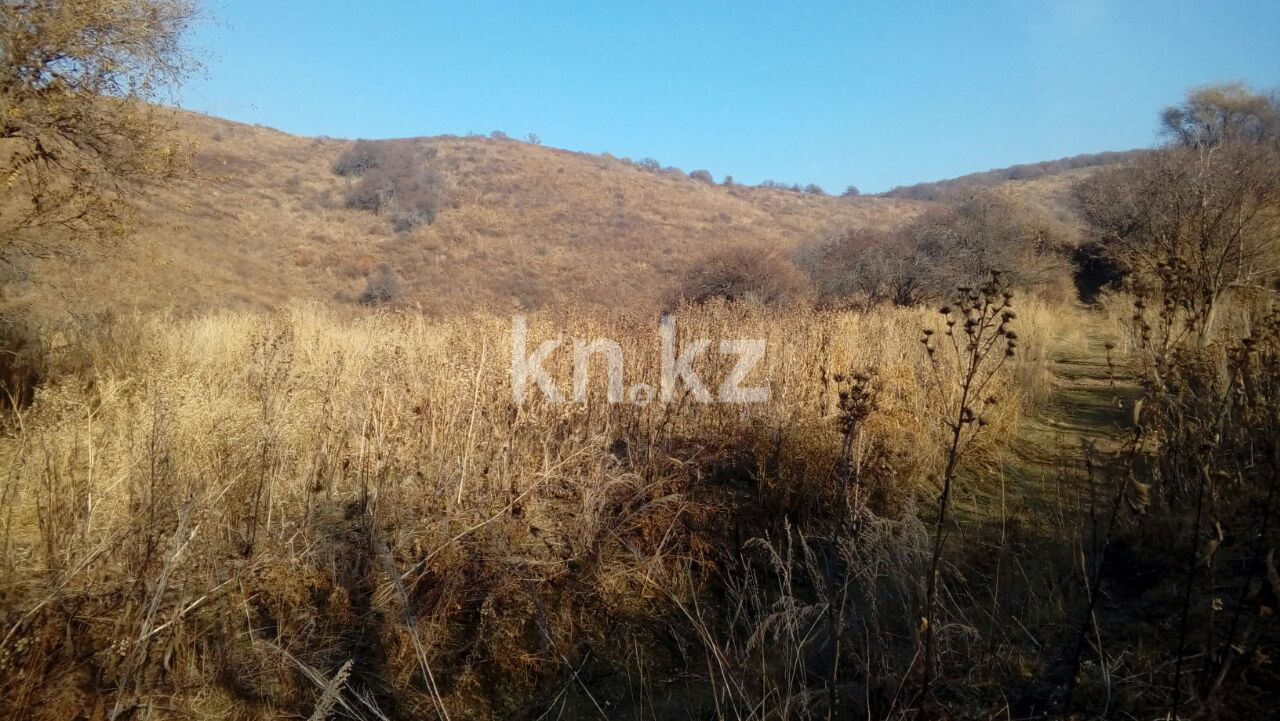 Продажа земельного участка, 1.5 га, МТФ №3 р-н - Продажа земельных участков в Алматинской области фото 6 из 6