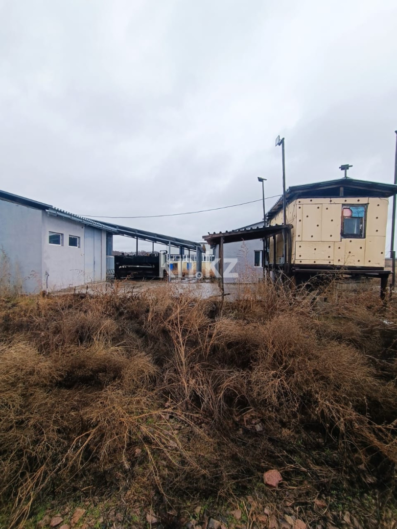 Продажа земельного участка, 2.8 га, Казцик - Продажа земельных участков в Алматинской области фото 9 из 12