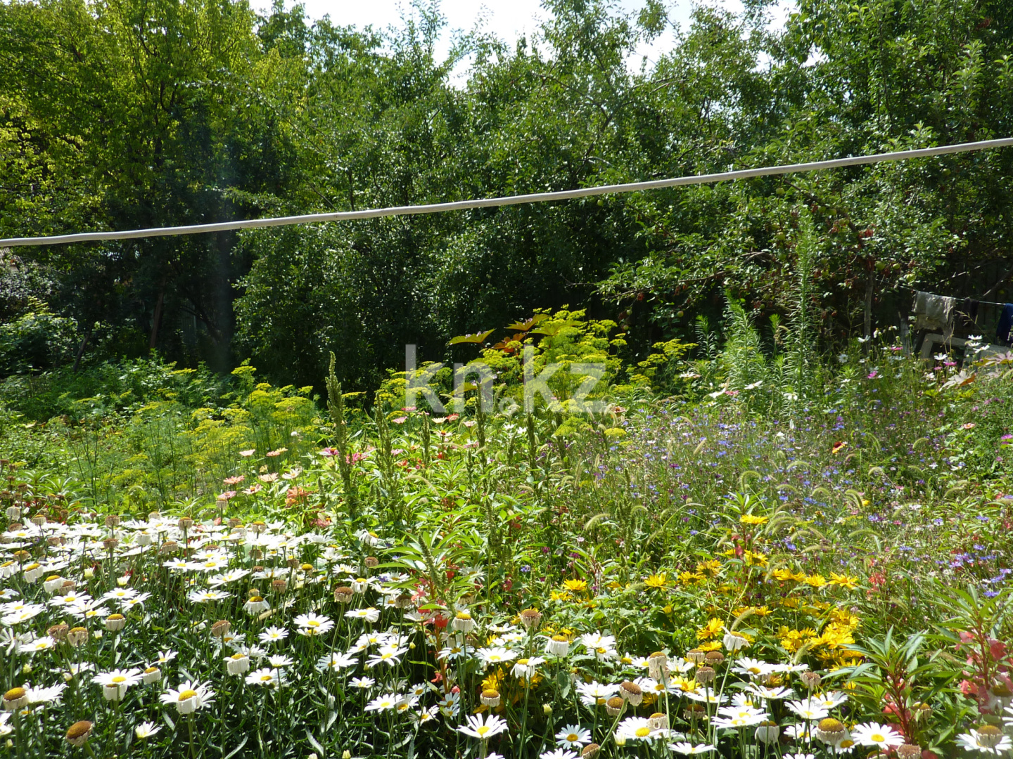 Продажа дачи, 8 сот. - Недвижимость в Шымкенте - страница 2 фото 9 из 13