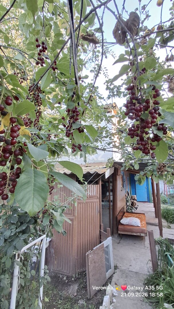 Продажа 4-комнатного дома, 100 м² в Уральске - фото 29