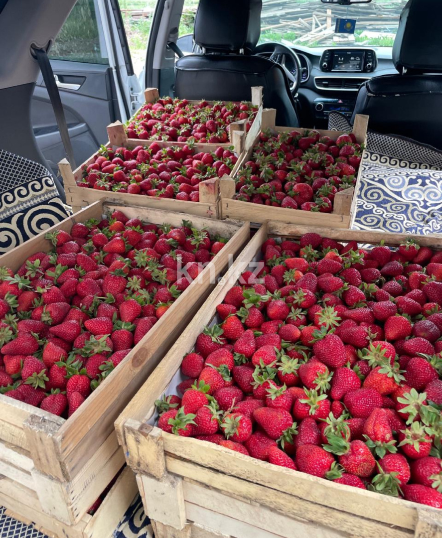 Продажа бизнеса, 23500 м² - Продажа действующего бизнеса в Алматы фото 7 из 7