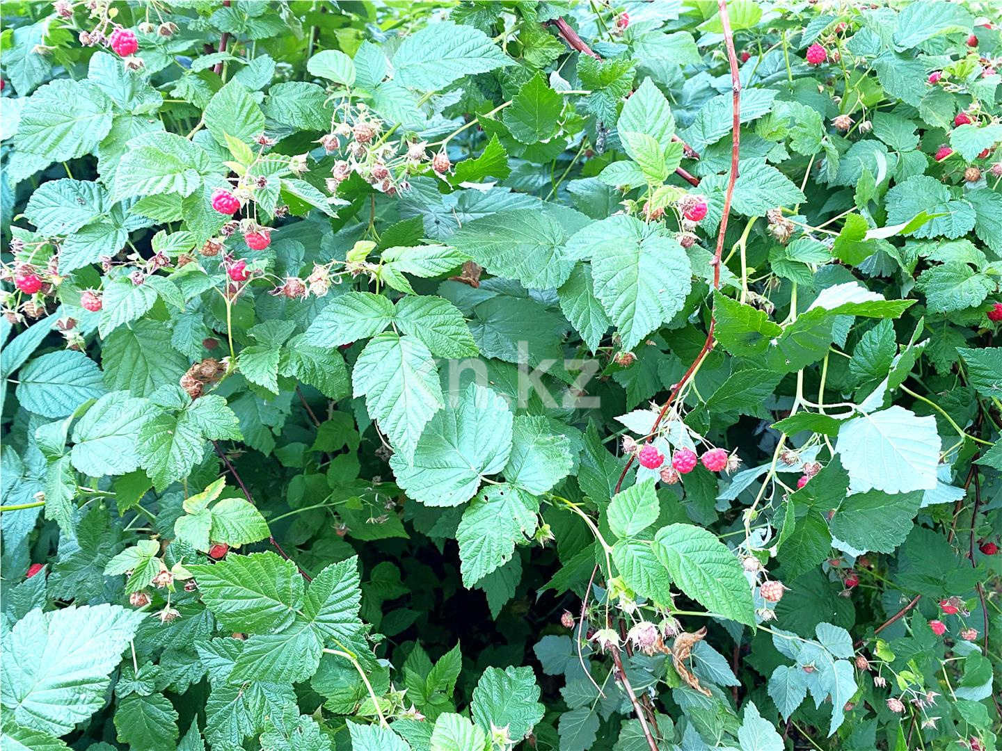 Продажа 7-комнатного дома, 160 м², ул. Черкасская, дом  58 - Продажа домов, коттеджей в Караганде с фото фото 16 из 16