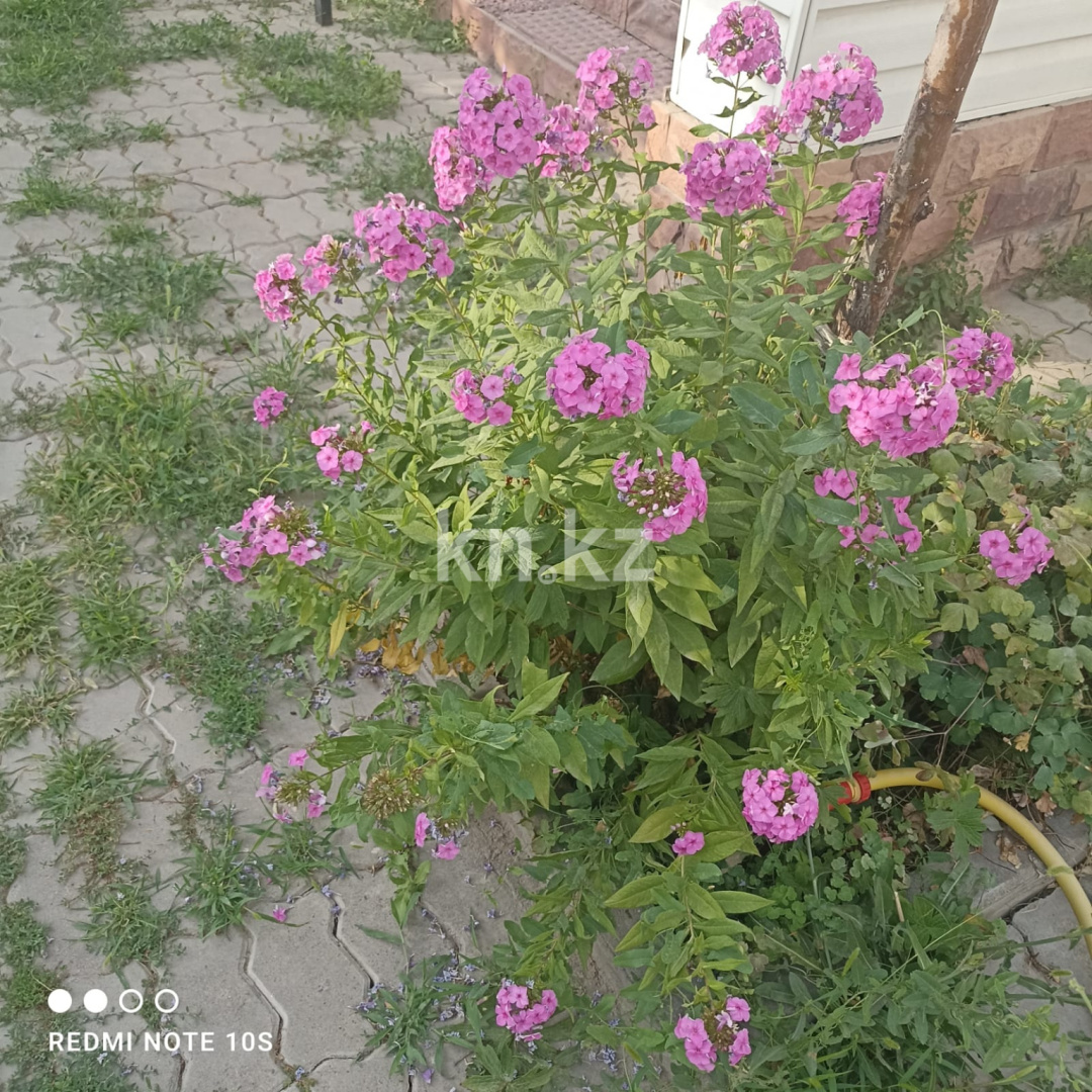 Продажа 5-комнатного дома, 108 м², Акжолтай - Продажа домов, коттеджей в Алматинской области фото 8 из 8