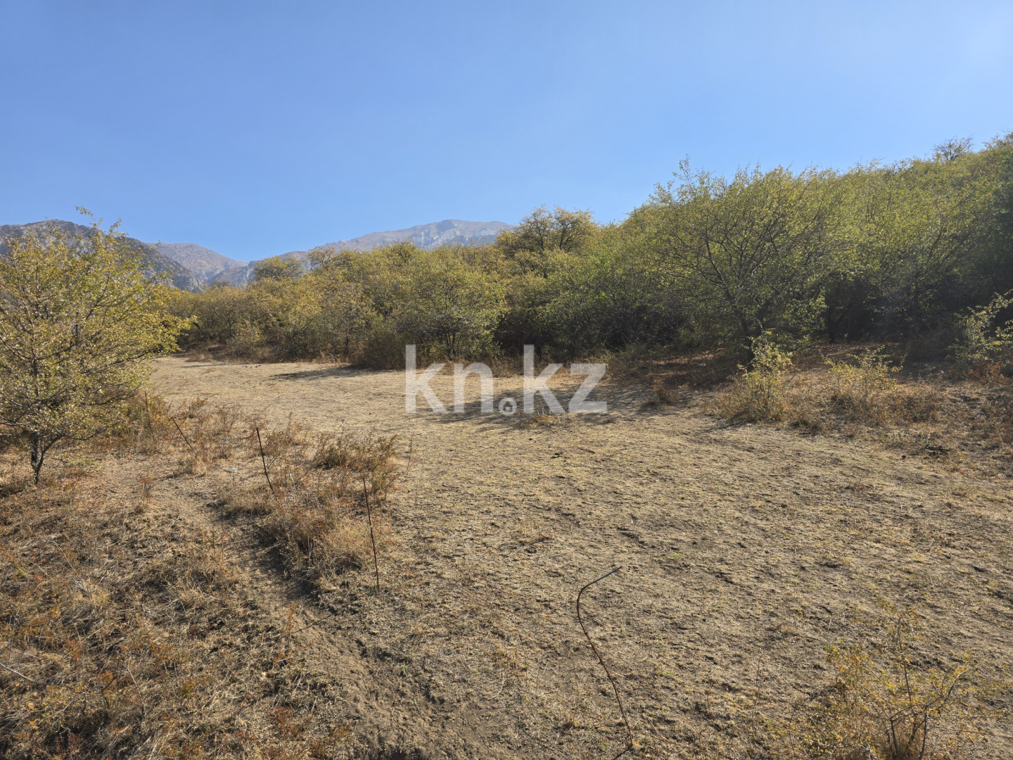 Продажа , 450 м², с.Бургулюк, дом  1111 - Продажа квартир в Шымкенте фото 36 из 40