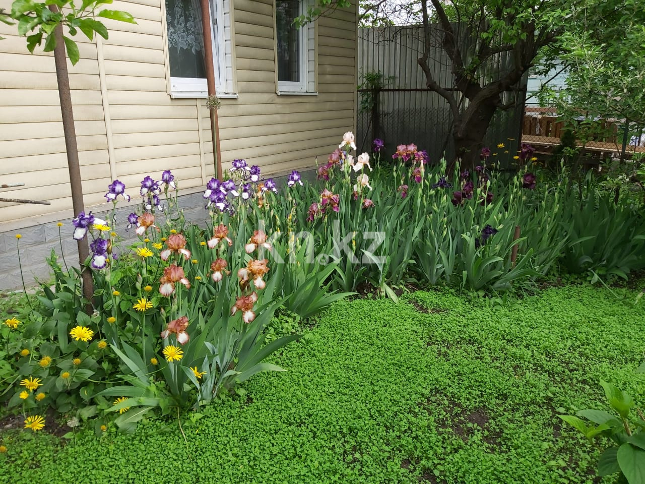 Продажа 5-комнатного дома, 72.6 м², ул. Сазановская в Алматы - фото 25