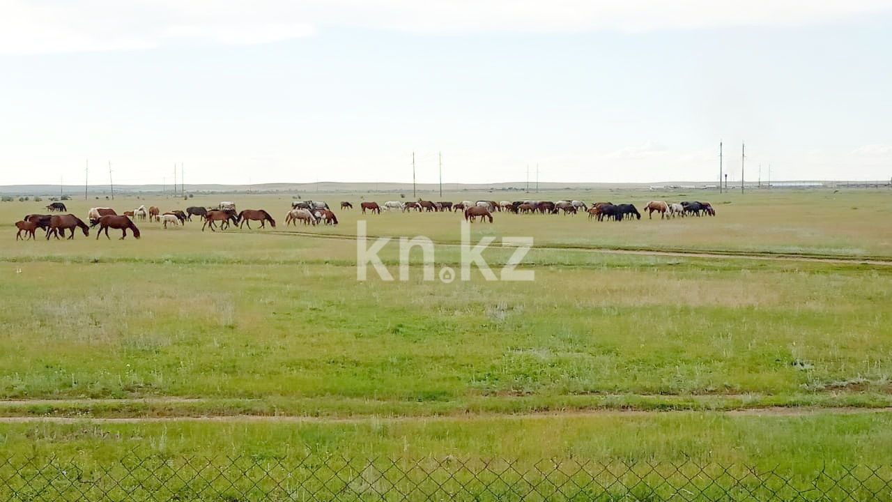 Продажа 2-комнатного дома, 52 м², 115 учётный квартал - Продажа домов, коттеджей в Темиртау фото 23 из 23