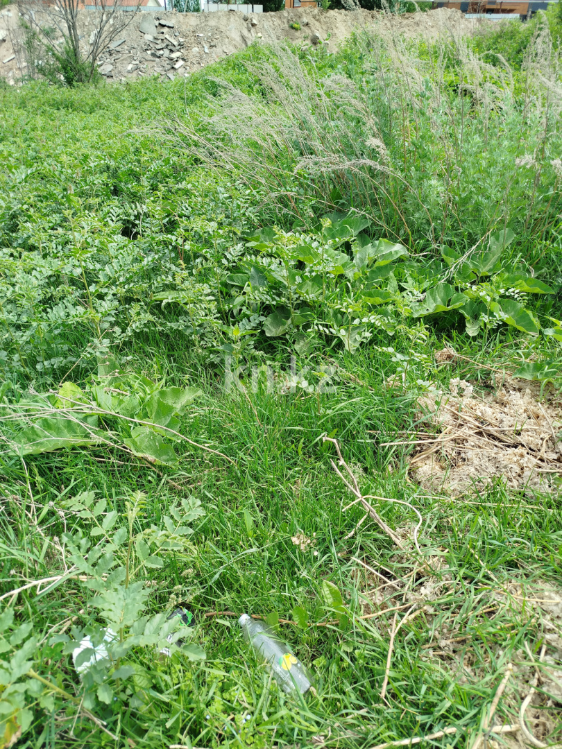 Продажа земельного участка, 10 сот., мкр. Карагайлы - Продажа земельных участков в Алматы фото 6 из 7