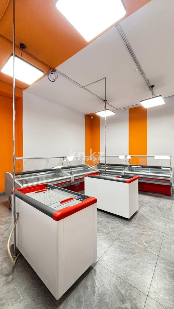 Аренда в Астане - фото 13