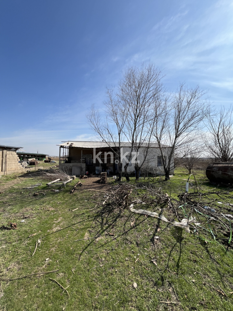 Продажа участка, 2 га в Шымкенте - фото 3