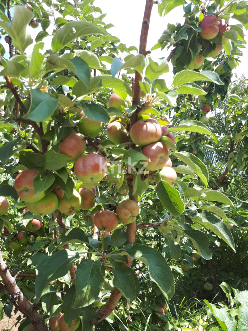 Продажа 5-комнатного дома, 385 м², мкр-н Городской аэропорт - Продажа домов и коттеджей в Караганде без посредников фото 8 из 10