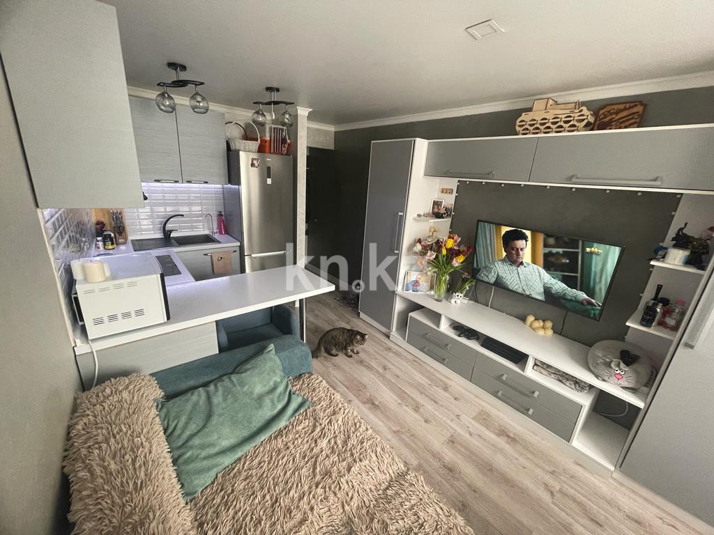 Продажа 1-комнатной квартиры, 26 м², ул. Тимирязева, дом  59а - ул. Манаса в Алматы