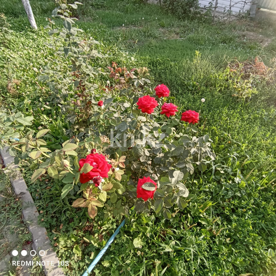 Продажа 5-комнатного дома, 108 м², Акжолтай - Продажа домов, коттеджей в Алматы фото 30 из 30