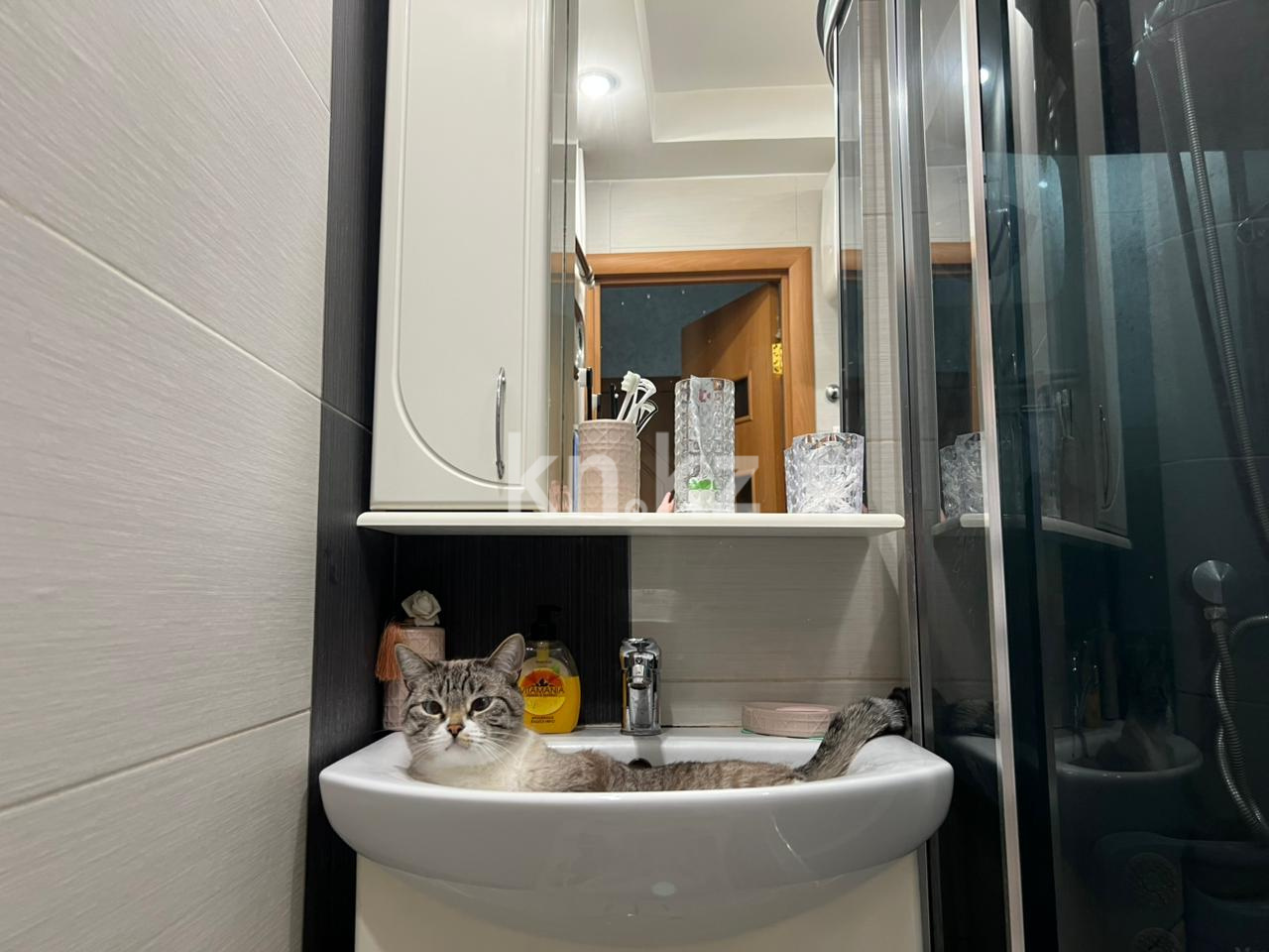 Продажа 2-комнатной квартиры, 42 м² - Продажа квартир от собственников в Караганде фото 13 из 23