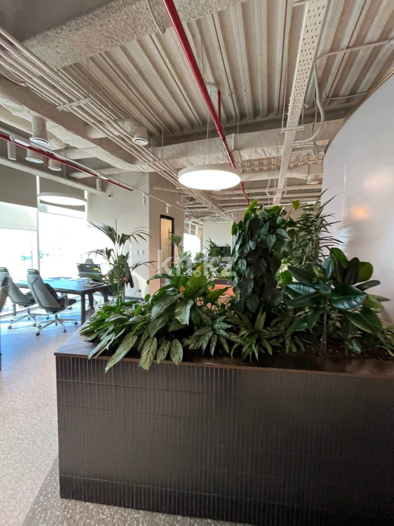 Аренда , ул. Сыганак, дом  60/4 - ул. Туркестан - Аренда офисных и торговых помещений в Астане фото 6 из 19