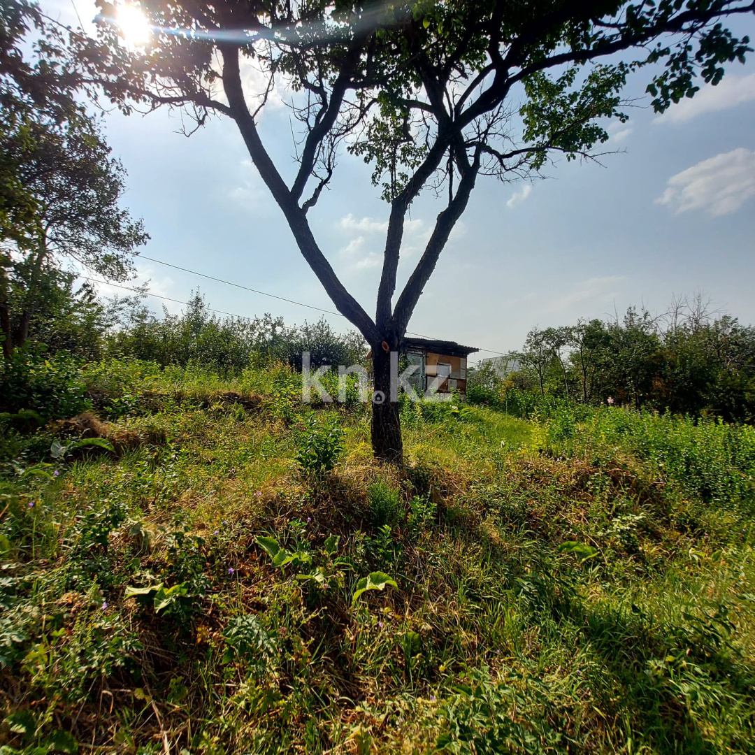 Продажа земельного участка, 6 сот., СТ Алма - Продажа земельных участков в Алматы фото 11 из 15