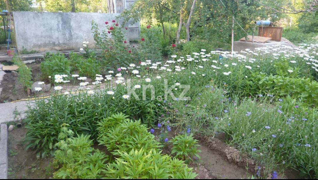 Продажа дачи, 8 сот., Жумбактас, 11 - Продажа квартир в Шымкенте фото 3 из 6