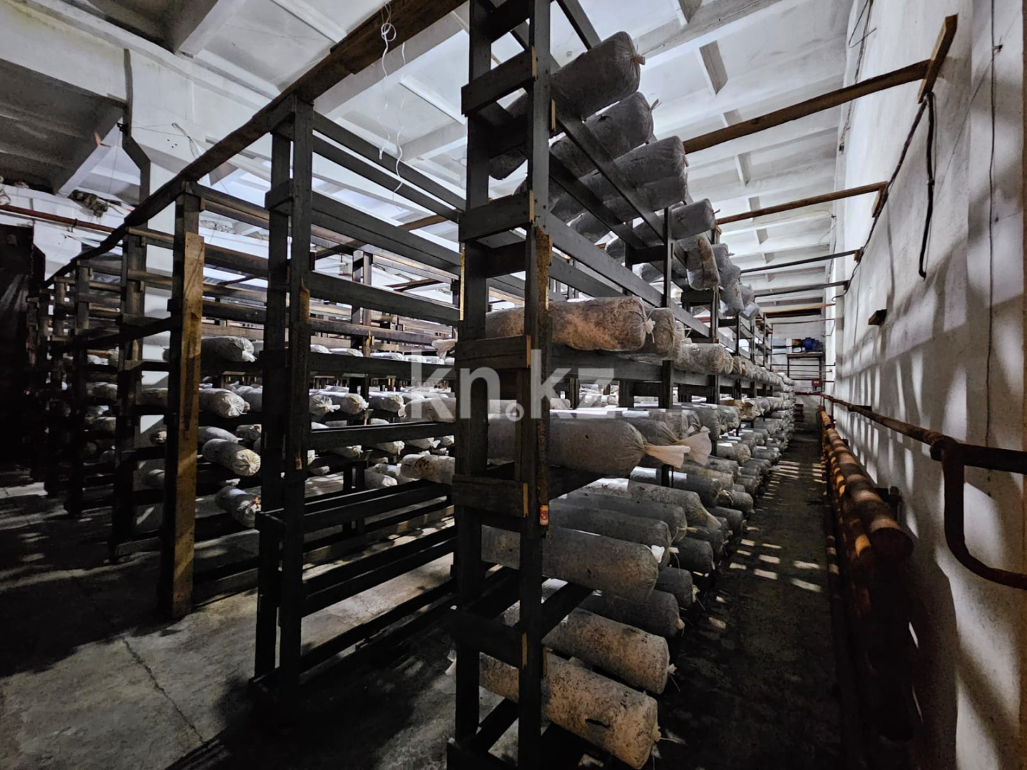 Продажа , 1500 м², ул. Абая, дом  225а - Продажа действующего бизнеса в Темиртау фото 10 из 28