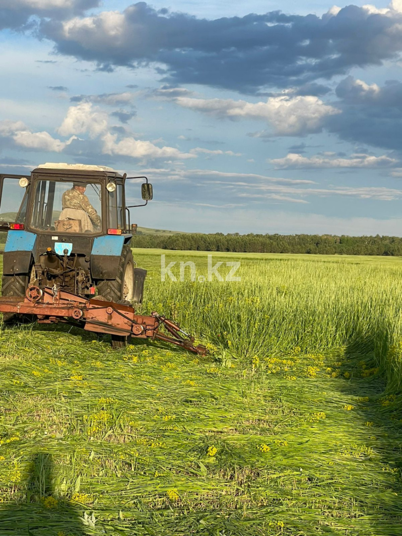 Продажа земельного участка, 9600 га, Коневодство - Продажа квартир в Караганде фото 1 из 1