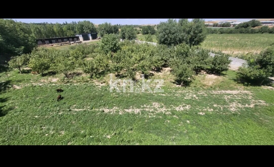 Продажа здания, 1400 м² в Шымкенте - фото 12