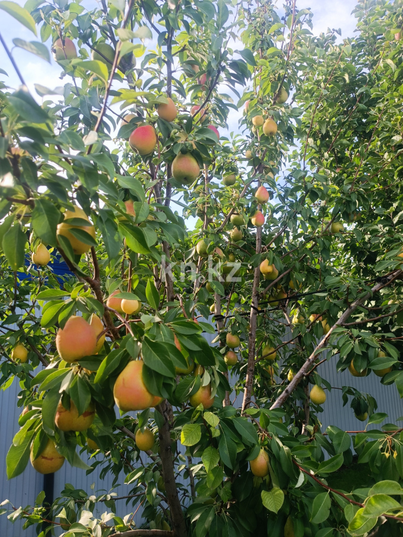 Продажа 5-комнатного дома, 260 м², Назерке, дом  24/1 - Продажа домов, коттеджей в Уральске фото 10 из 10