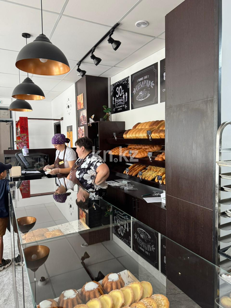 Продажа бизнеса, 111.1 м² - Недвижимость в Акмолинской области фото 3 из 8