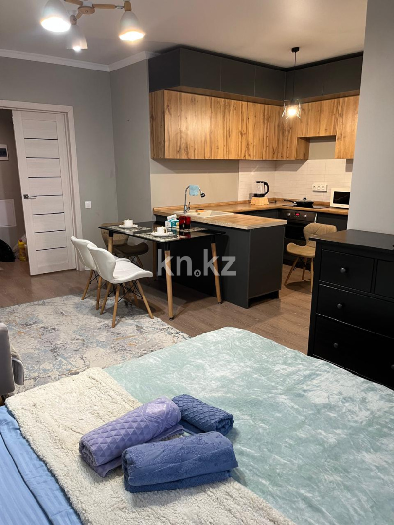 Аренда 1-комнатной квартиры посуточно, 35 м² - Продажа действующего бизнеса в Алматинской области фото 4 из 19