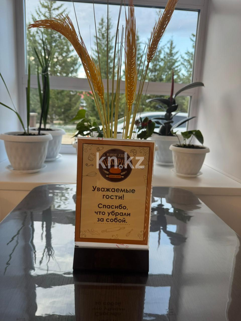 Продажа бизнеса, 111.1 м² - Недвижимость в Акмолинской области фото 8 из 8