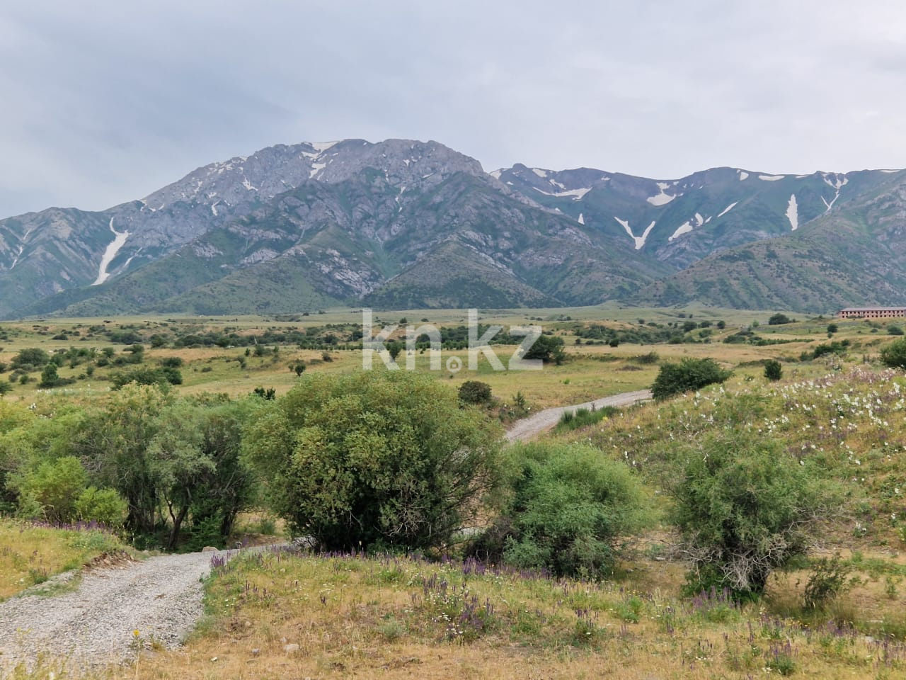 Продажа земельного участка, 8 сот., Аксу Жабагылы - Продажа земельных участков в Шымкенте фото 9 из 10