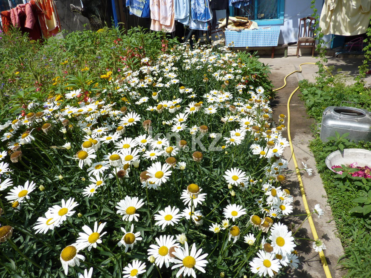 Продажа дачи, 8 сот. - Недвижимость в Шымкенте - страница 2 фото 12 из 13