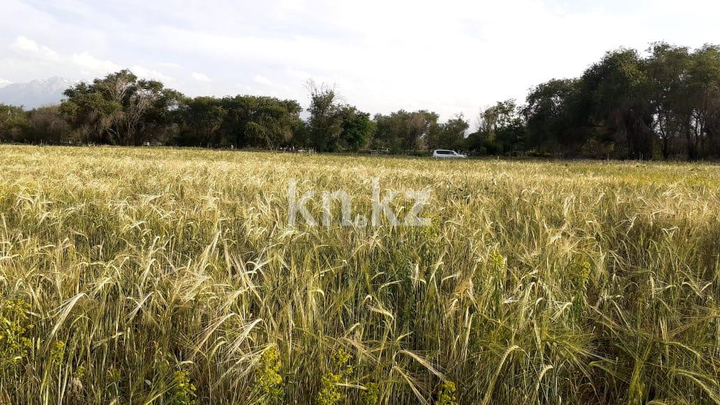 Продажа участка, 635 сот. - Продажа земельных участков в Казахстане фото 2 из 3