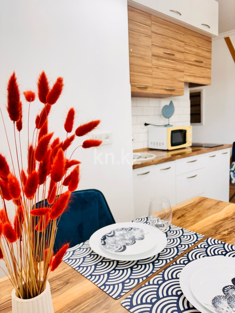 Аренда 1-комнатной квартиры посуточно, 37 м², ул. Шевченко, дом  85 - Сейфуллина в Алматы - фото 5