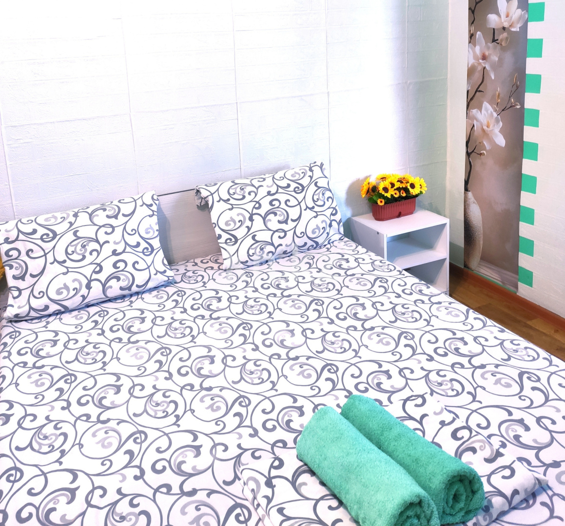 Аренда 1-комнатной квартиры посуточно, 30 м² - Аренда квартир посуточно в Казахстане - страница 8 фото 1 из 5