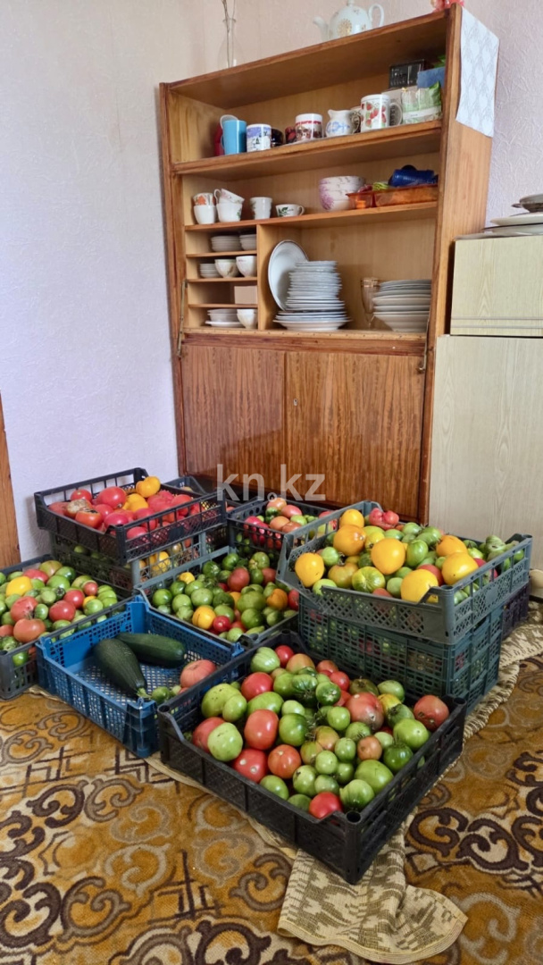 Продажа дачи, 12 сот., Елочка - Продажа дач в Караганде с фото фото 38 из 39