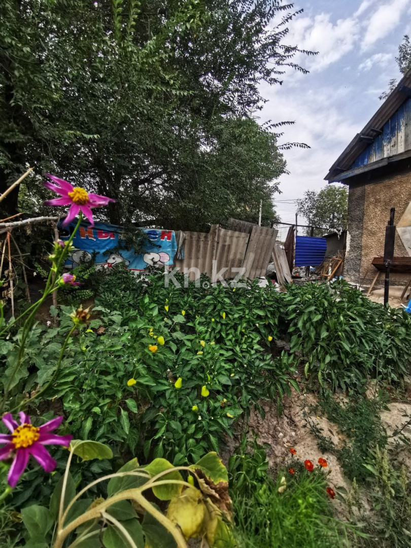 Продажа 4-комнатного дома, 60 м², Боралдай, ул.Сельский - Продажа домов, коттеджей в Алматинской области фото 10 из 14