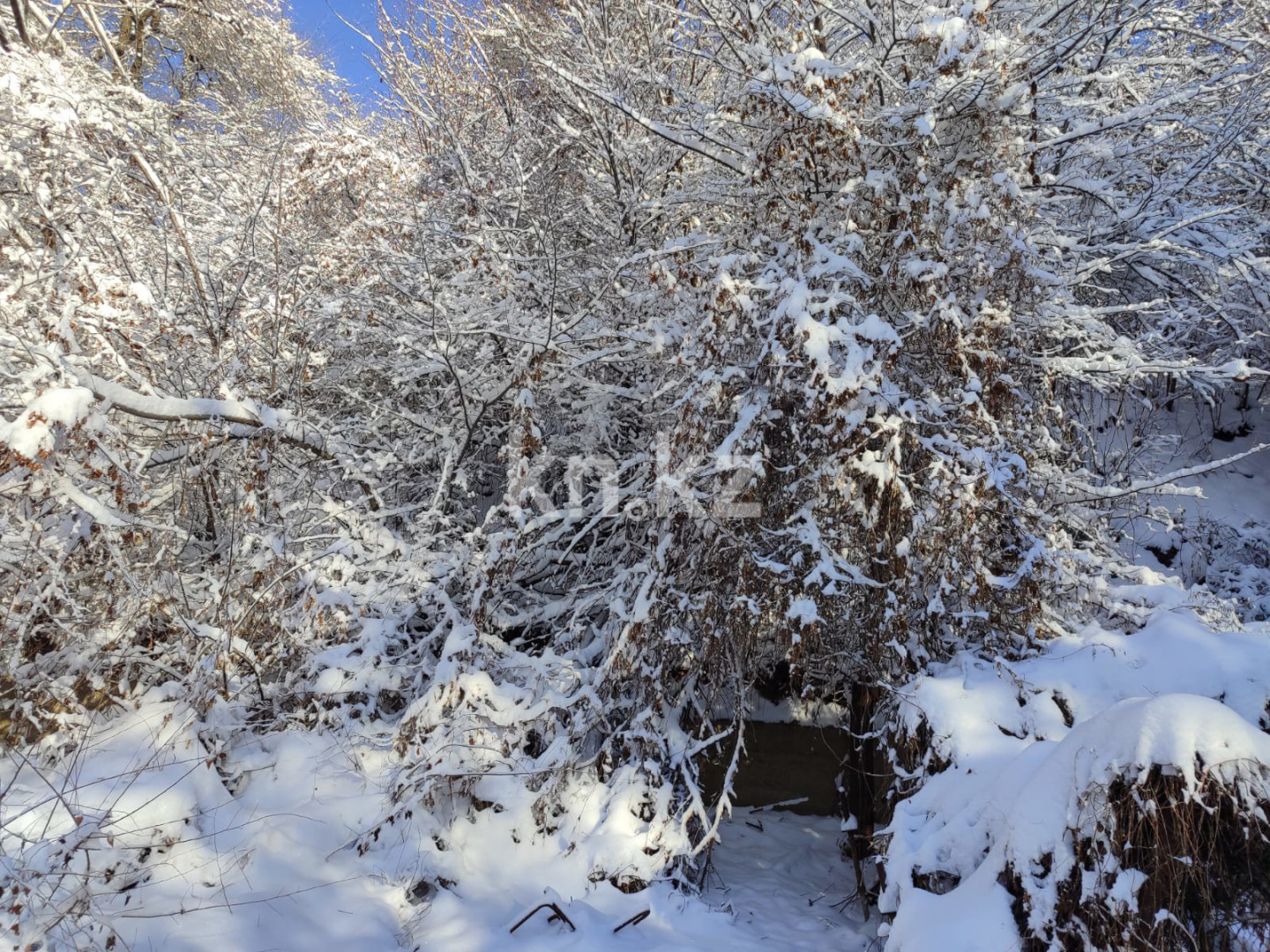 Продажа участка, 1600 м² - Продажа земельных участков в Павлодаре фото 2 из 7