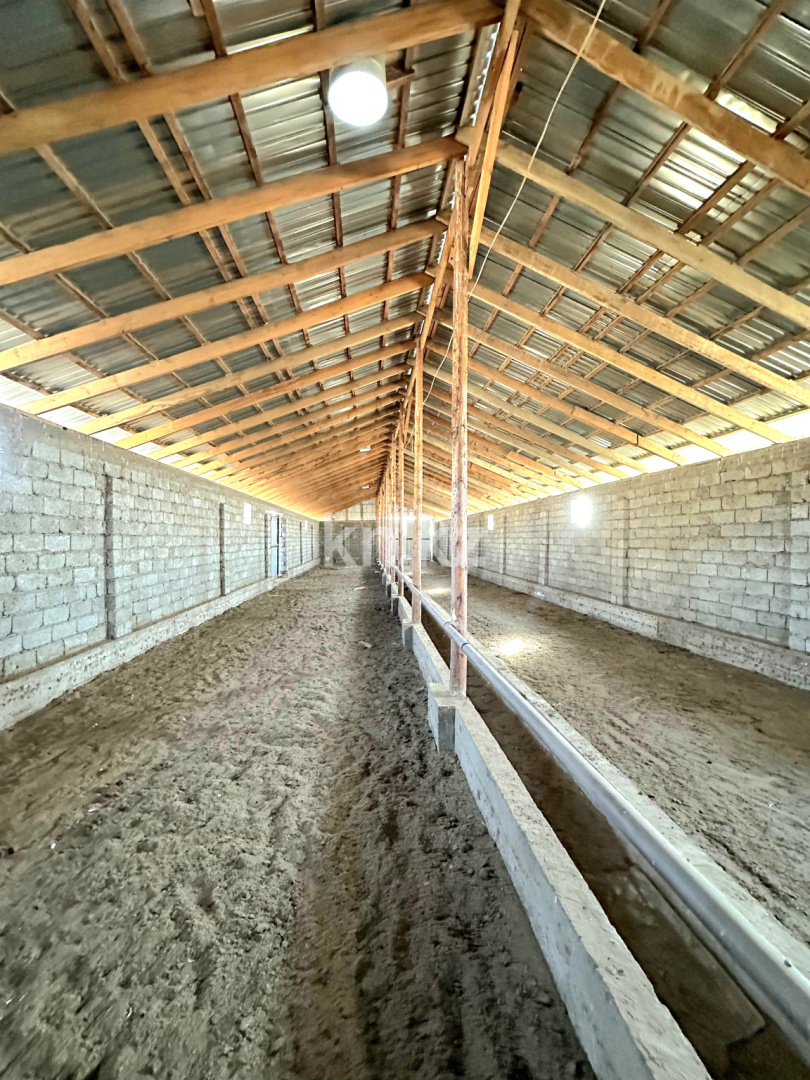 Продажа , 1200 м², ЖМ Алтынтобе, дом  1 - Продажа квартир в Шымкенте фото 20 из 30