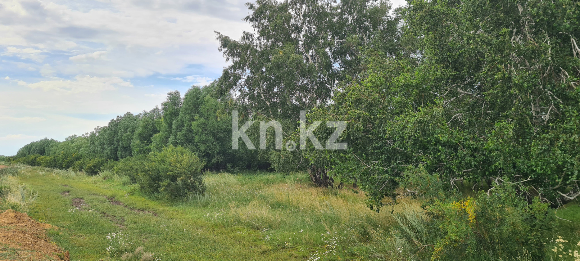 Продажа земельного участка, 25 сот., Мира - Продажа квартир в Акмолинской области фото 6 из 8