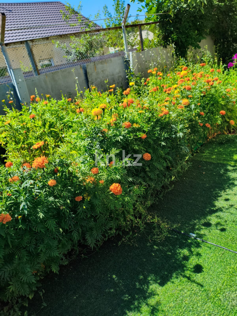 Продажа 4-комнатного дома, 121 м² - Продажа домов, коттеджей в Караганде - страница 6 фото 7 из 31