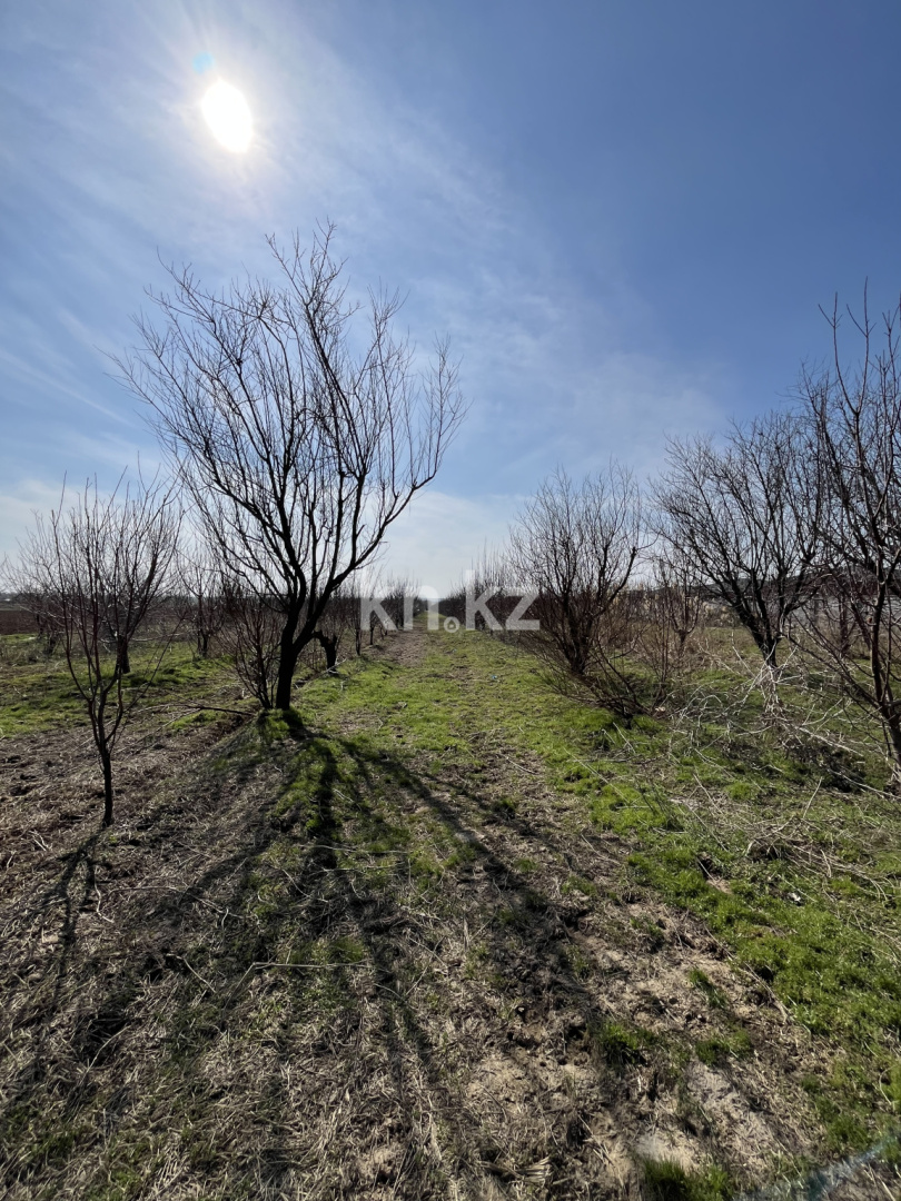 Продажа участка, 2 га в Шымкенте - фото 2