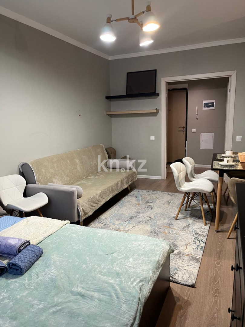 Аренда 1-комнатной квартиры посуточно, 35 м² - Продажа действующего бизнеса в Алматинской области фото 3 из 19