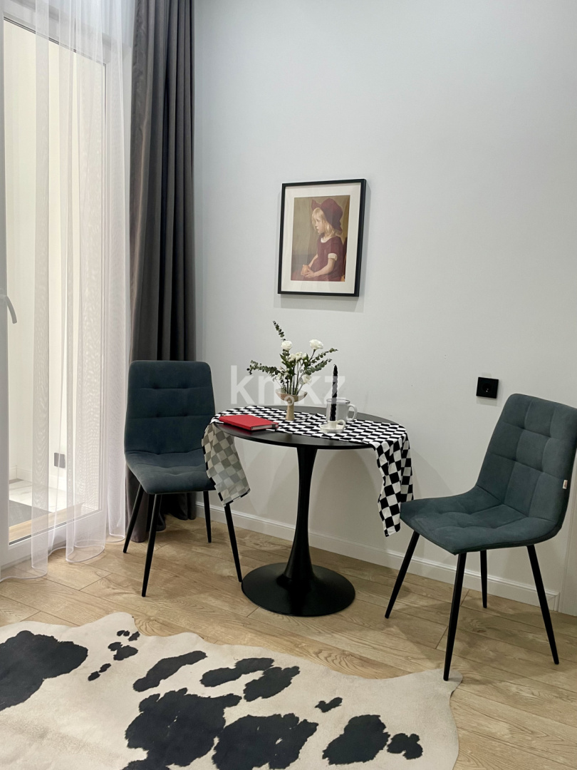 Аренда 2-комнатной квартиры посуточно, 27 м², пр. Абая, дом  109/11 - ул. Манаса - Аренда квартир посуточно в Алматы с фото фото 13 из 18