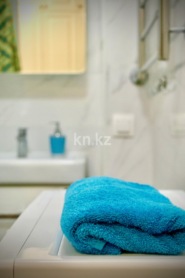 Аренда 2-комнатной квартиры посуточно, 48 м², ул. Егизбаева, дом  7/10 к1 - Аренда  двухкомнатных квартир посуточно в Алматы фото 16 из 21