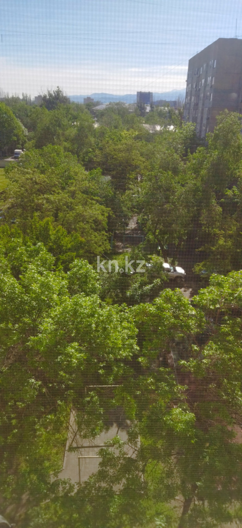 Продажа 2-комнатной квартиры, 31 м², ул. Ауэзова, дом  16 - ул. Толе би в Алматы - фото 9 Продажа 2-комнатной квартиры, 31 м², ул. Ауэзова, дом  16 - ул. Толе би в Алматы - фото 9