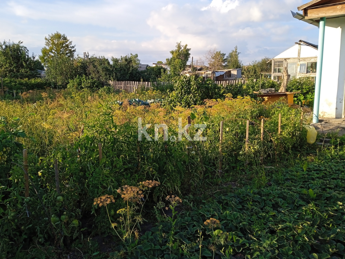 Продажа дачи, 6 сот. - Продажа недвижимости в Караганде - страница 5 фото 2 из 9