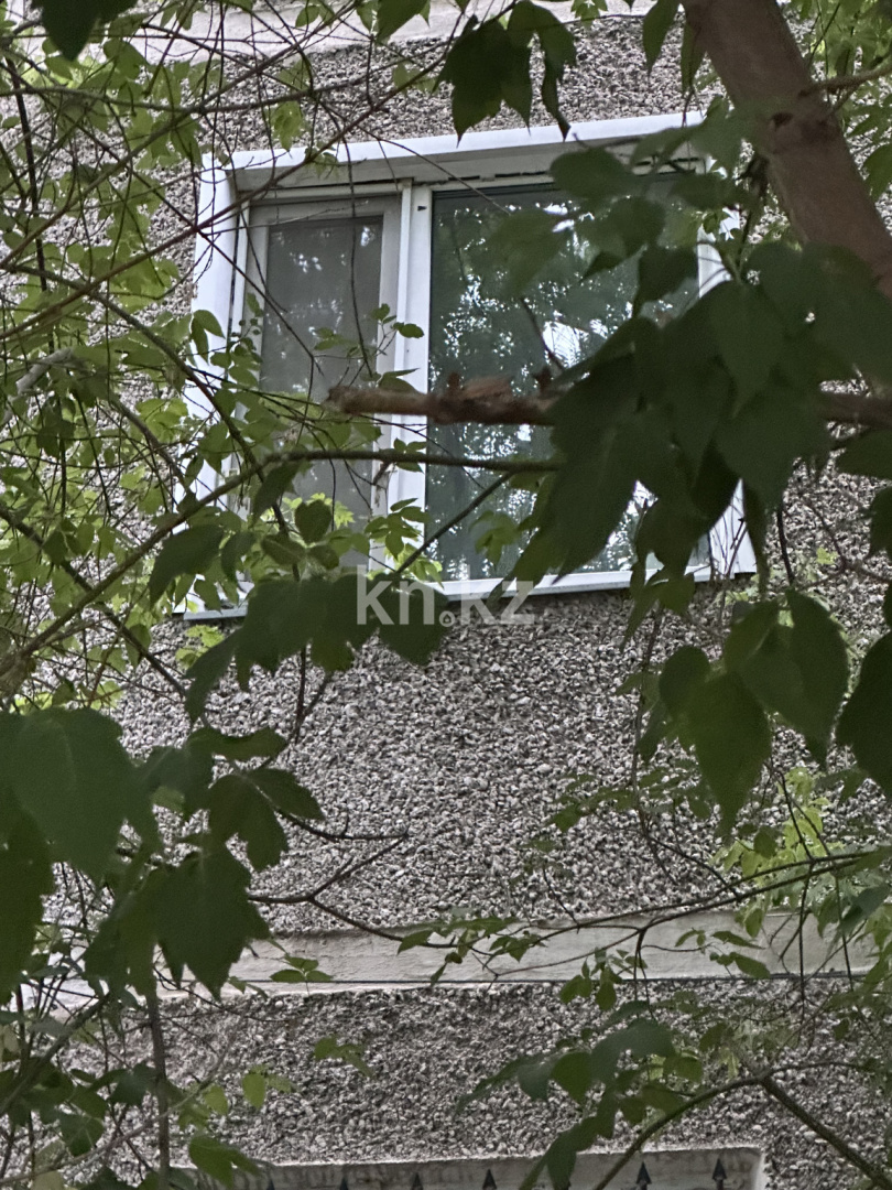 Продажа 2-комнатной квартиры, 48 м² - Продажа двухкомнатных квартир от собственников в Караганде - страница 15 фото 10 из 13