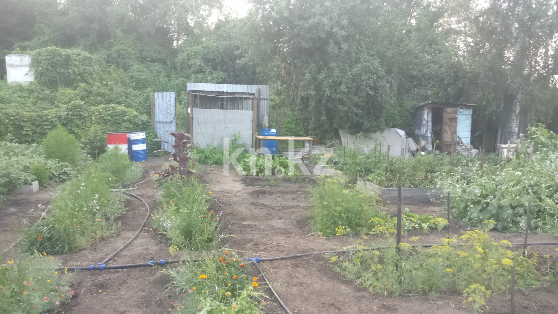 Продажа дачи, 7.8 сот., ПКСТ "Мичуринец" ул.Садовая, участок 24 - Продажа квартир в Костанае фото 1 из 6